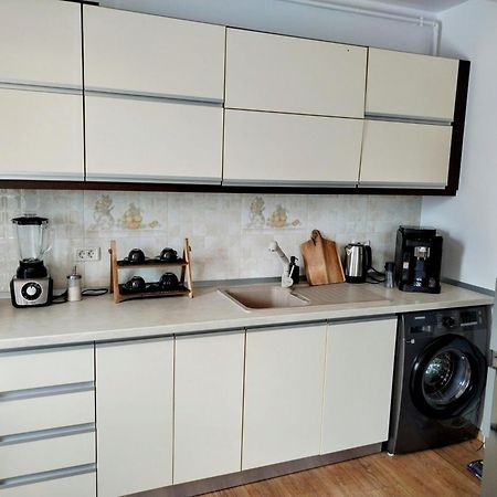 בוקרשט Exclusive Living Apartment מראה חיצוני תמונה